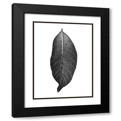 Dark Moon Glow Black Modern Wood Framed Art Print with Double Matting by Phillip, Jamie