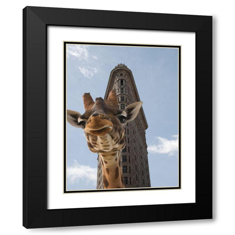 Way Over 1 Black Modern Wood Framed Art Print with Double Matting by Phillip, Jamie