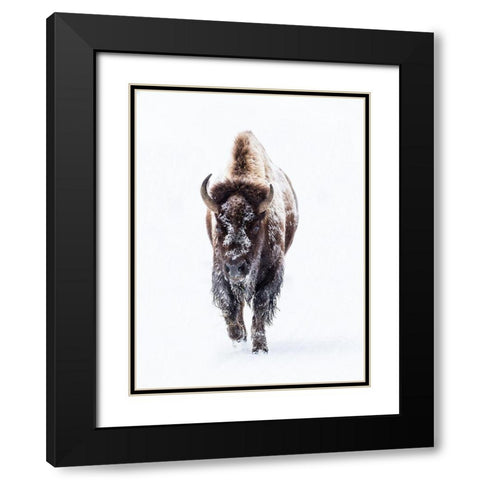 Journey Black Modern Wood Framed Art Print with Double Matting by Phillip, Jamie