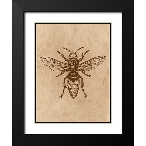 Specimen 1 Black Modern Wood Framed Art Print with Double Matting by Phillip, Jamie