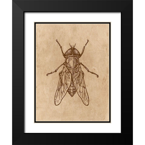 Specimen 2 Black Modern Wood Framed Art Print with Double Matting by Phillip, Jamie