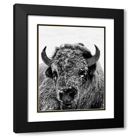 Snow Motion Black Modern Wood Framed Art Print with Double Matting by Phillip, Jamie