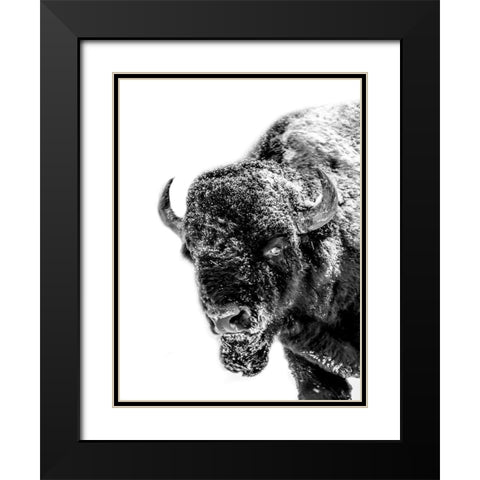 Snow Motion 2 Black Modern Wood Framed Art Print with Double Matting by Phillip, Jamie