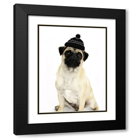 Cute Dog Black Modern Wood Framed Art Print with Double Matting by Phillip, Jamie