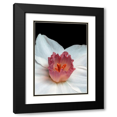 Spectanva 2 Black Modern Wood Framed Art Print with Double Matting by Phillip, Jamie