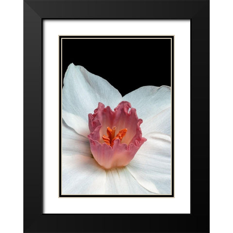 Spectanva 2 Black Modern Wood Framed Art Print with Double Matting by Phillip, Jamie