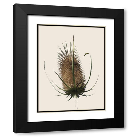 Caliveni 1 Black Modern Wood Framed Art Print with Double Matting by Phillip, Jamie