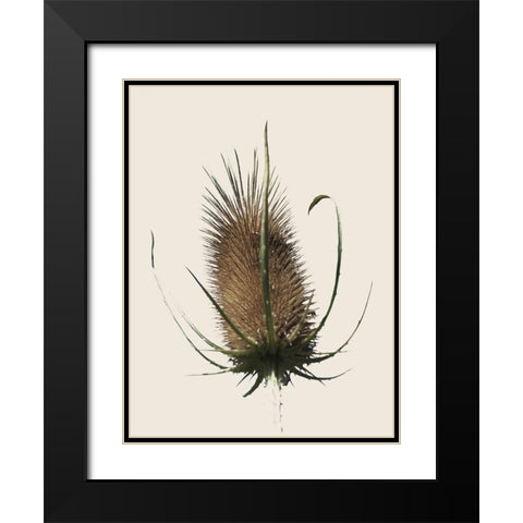 Caliveni 1 Black Modern Wood Framed Art Print with Double Matting by Phillip, Jamie