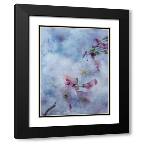 BLue Watercolor Flower 2 Black Modern Wood Framed Art Print with Double Matting by Phillip, Jamie