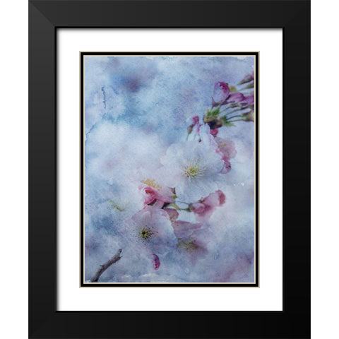 BLue Watercolor Flower 2 Black Modern Wood Framed Art Print with Double Matting by Phillip, Jamie