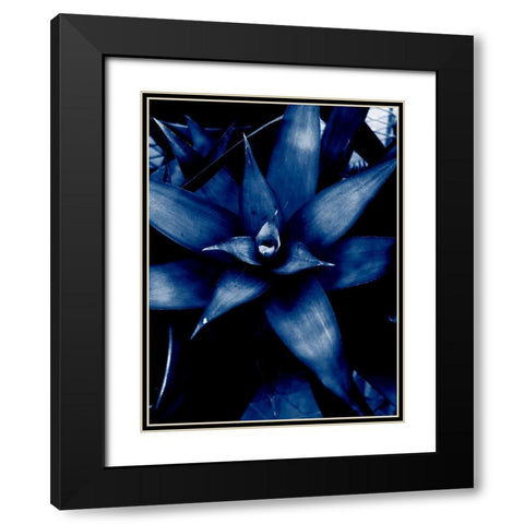 Tropical 6 Black Modern Wood Framed Art Print with Double Matting by Phillip, Jamie