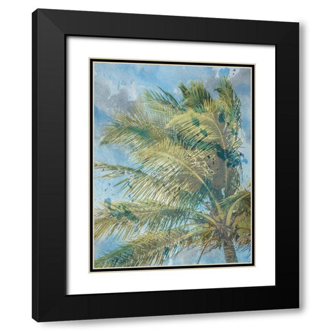 Palm  Tree Black Modern Wood Framed Art Print with Double Matting by Phillip, Jamie