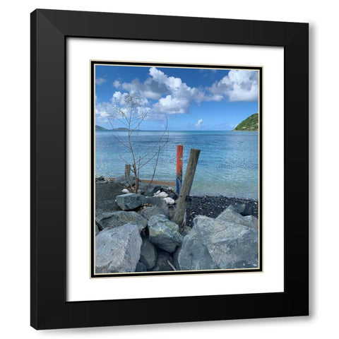 BVI 3 Black Modern Wood Framed Art Print with Double Matting by Phillip, Jamie