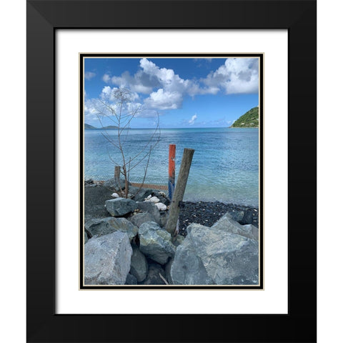 BVI 3 Black Modern Wood Framed Art Print with Double Matting by Phillip, Jamie