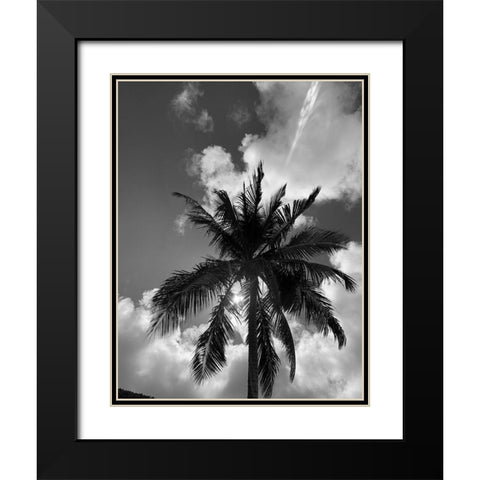 BVI 4 Black Modern Wood Framed Art Print with Double Matting by Phillip, Jamie