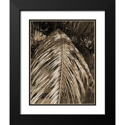 BVI 6 Black Modern Wood Framed Art Print with Double Matting by Phillip, Jamie