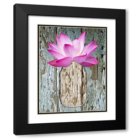 Potted Plant Black Modern Wood Framed Art Print with Double Matting by Phillip, Jamie