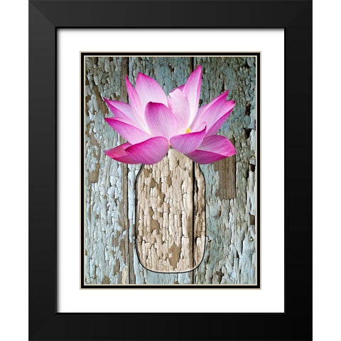 Potted Plant Black Modern Wood Framed Art Print with Double Matting by Phillip, Jamie