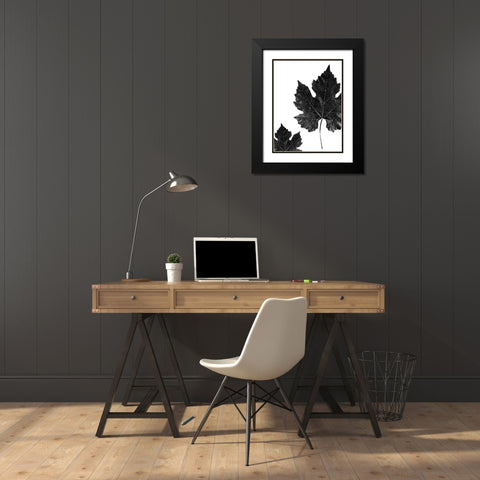 Shaded Leaf 1 Black Modern Wood Framed Art Print with Double Matting by Phillip, Jamie