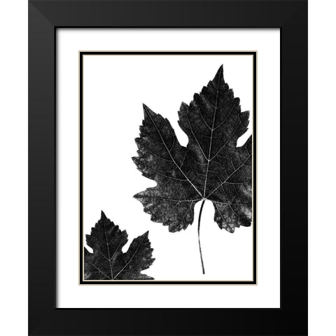 Shaded Leaf 1 Black Modern Wood Framed Art Print with Double Matting by Phillip, Jamie