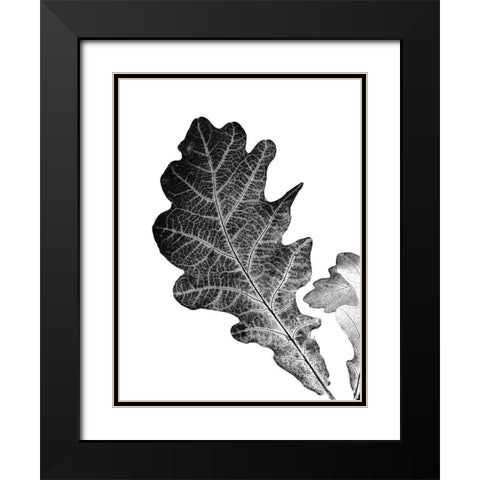 Shaded Leaf 2 Black Modern Wood Framed Art Print with Double Matting by Phillip, Jamie