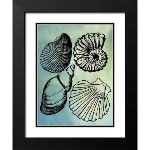 Bath Shells Black Modern Wood Framed Art Print with Double Matting by Phillip, Jamie