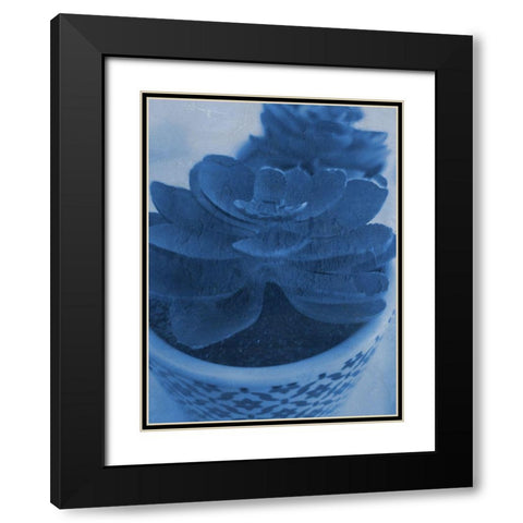 Succulent Plant 1 Black Modern Wood Framed Art Print with Double Matting by Phillip, Jamie