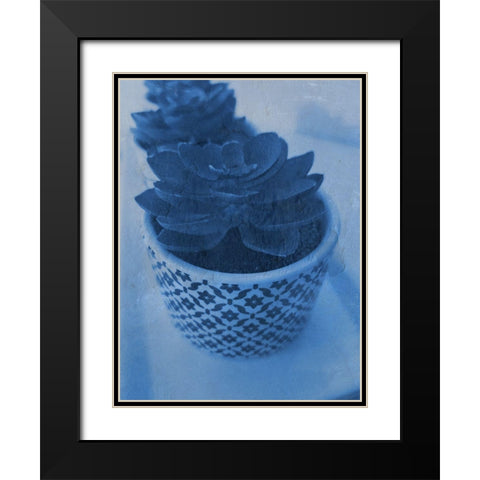 Succulent Plant 2 Black Modern Wood Framed Art Print with Double Matting by Phillip, Jamie