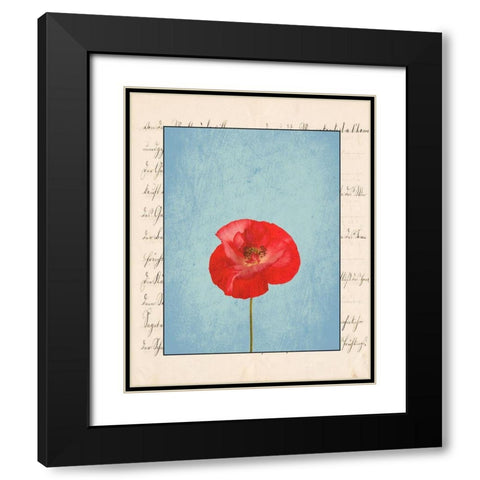 Red Flower Black Modern Wood Framed Art Print with Double Matting by Phillip, Jamie