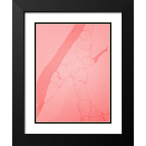 Retro 70s 1 Black Modern Wood Framed Art Print with Double Matting by Phillip, Jamie