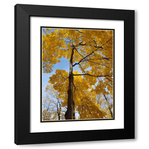 Silent Nature 1 Black Modern Wood Framed Art Print with Double Matting by Phillip, Jamie