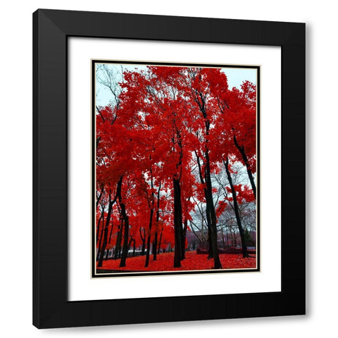 Silent Nature 4 Black Modern Wood Framed Art Print with Double Matting by Phillip, Jamie