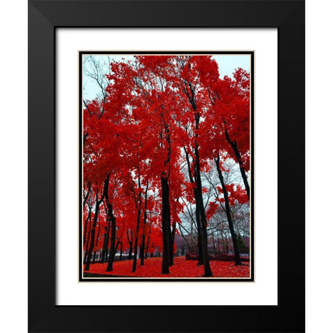 Silent Nature 4 Black Modern Wood Framed Art Print with Double Matting by Phillip, Jamie