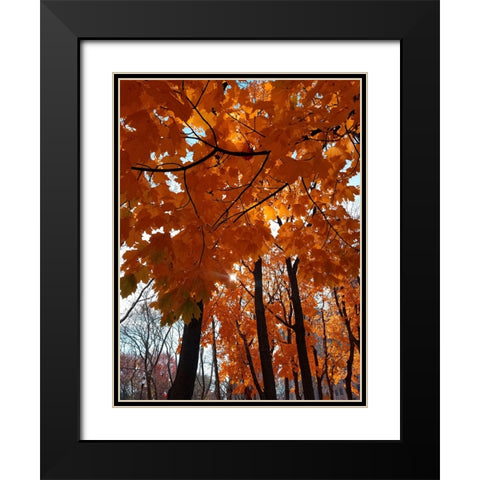 Silent Nature 5 Black Modern Wood Framed Art Print with Double Matting by Phillip, Jamie