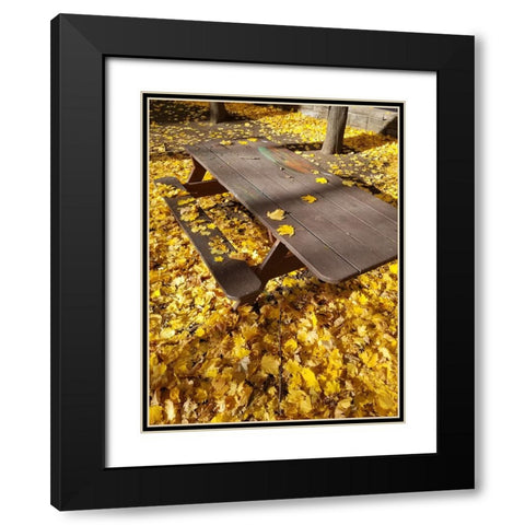 Silent Nature 6 Black Modern Wood Framed Art Print with Double Matting by Phillip, Jamie