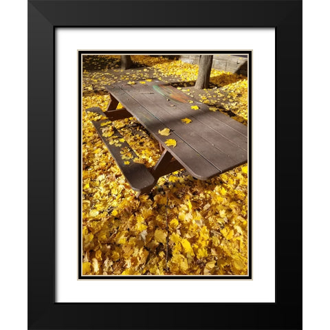 Silent Nature 6 Black Modern Wood Framed Art Print with Double Matting by Phillip, Jamie