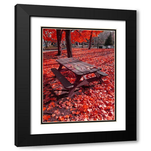 Silent Nature 7 Black Modern Wood Framed Art Print with Double Matting by Phillip, Jamie