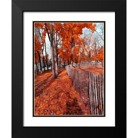 Silent Nature 9 Black Modern Wood Framed Art Print with Double Matting by Phillip, Jamie