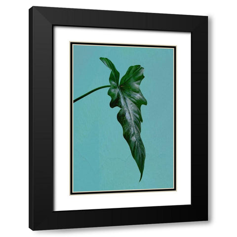 Leaf Me Alone Black Modern Wood Framed Art Print with Double Matting by Phillip, Jamie