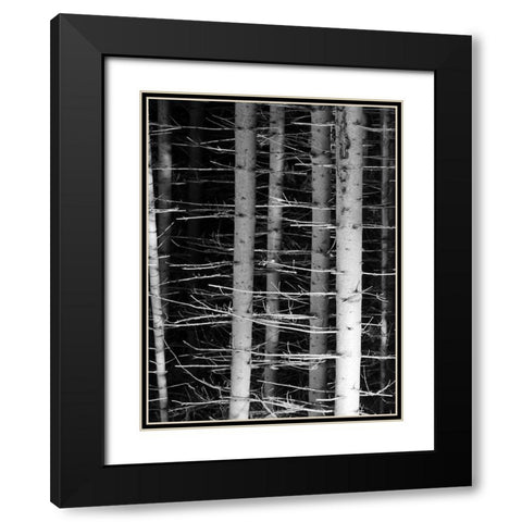 Dark Woods 2 Black Modern Wood Framed Art Print with Double Matting by Phillip, Jamie