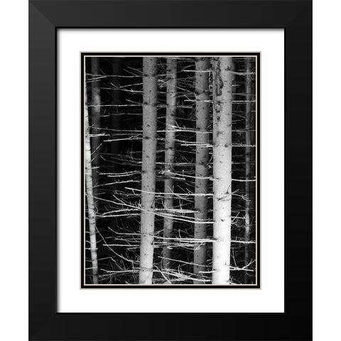 Dark Woods 2 Black Modern Wood Framed Art Print with Double Matting by Phillip, Jamie