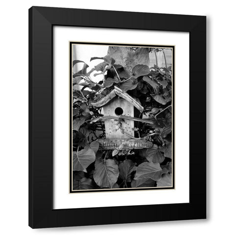 Bird House Black Modern Wood Framed Art Print with Double Matting by Phillip, Jamie