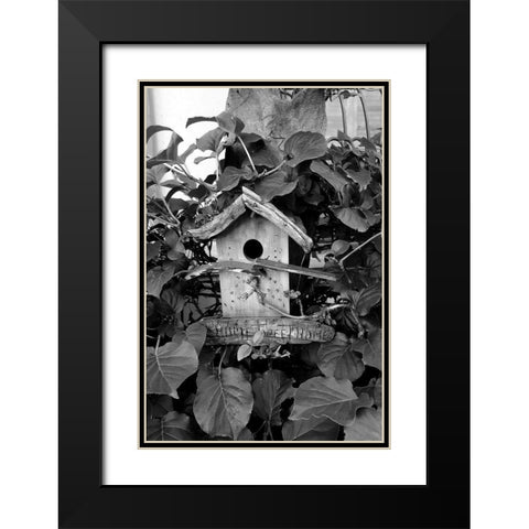 Bird House Black Modern Wood Framed Art Print with Double Matting by Phillip, Jamie