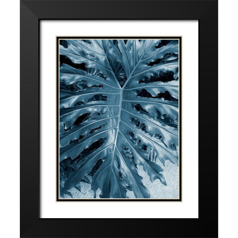 Garden 2 Black Modern Wood Framed Art Print with Double Matting by Phillip, Jamie