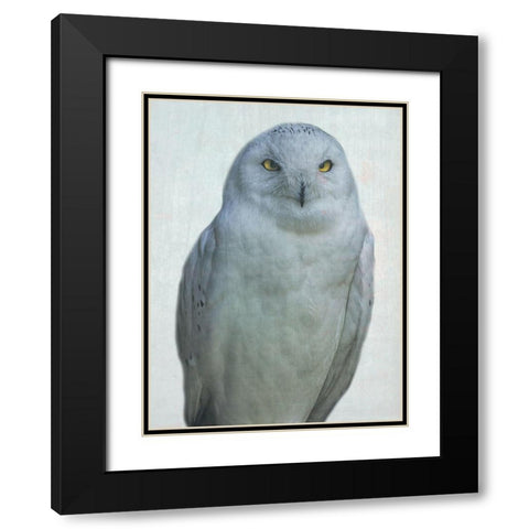 Owlways Black Modern Wood Framed Art Print with Double Matting by Phillip, Jamie