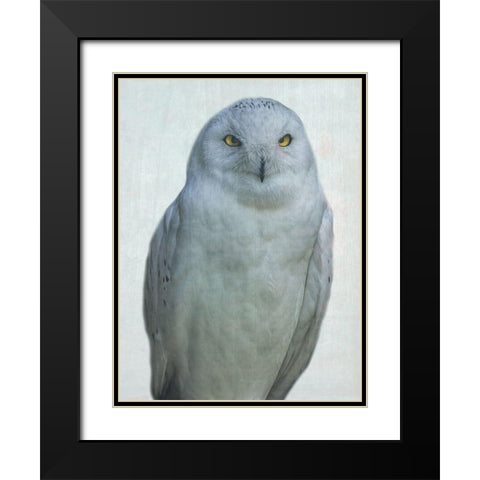 Owlways Black Modern Wood Framed Art Print with Double Matting by Phillip, Jamie