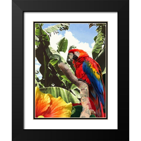 Tropical Garden Black Modern Wood Framed Art Print with Double Matting by Phillip, Jamie