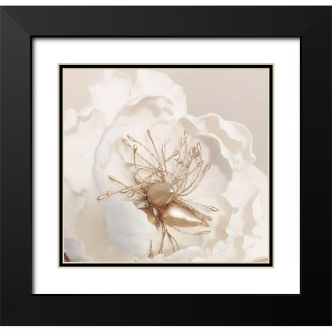Bellarosa Black Modern Wood Framed Art Print with Double Matting by Phillip, Jamie