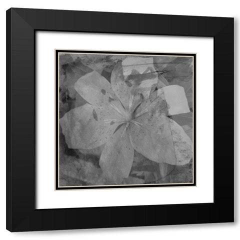 Love in The Garden 3 Black Modern Wood Framed Art Print with Double Matting by Phillip, Jamie