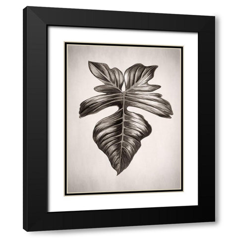 Verdure III Sepia Black Modern Wood Framed Art Print with Double Matting by Urban Road